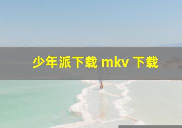 少年派下载 mkv 下载